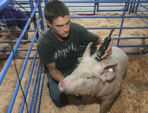 Kings Fair 2011